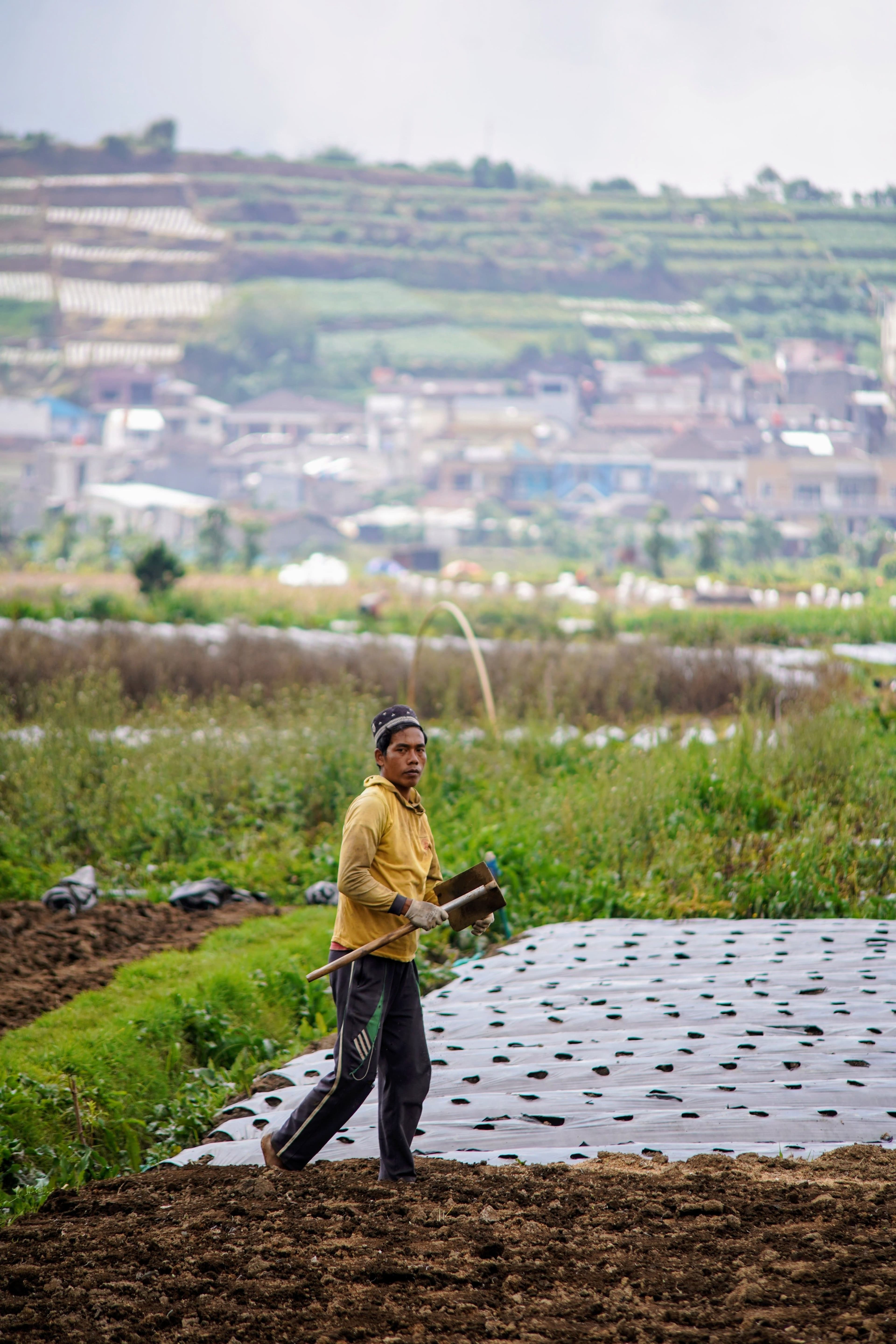 Green Infrastructure